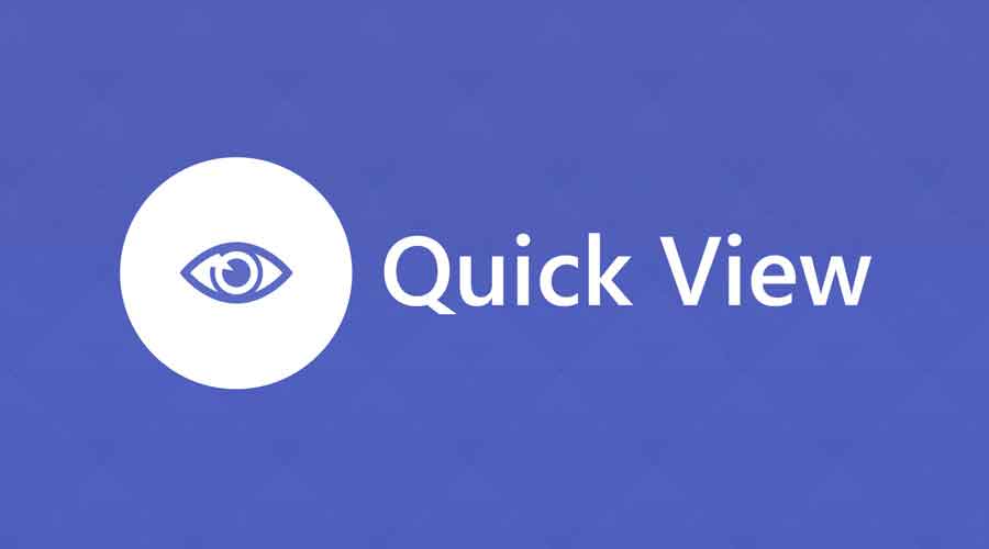 Quick View: WebContrive’s Successful Shopify App